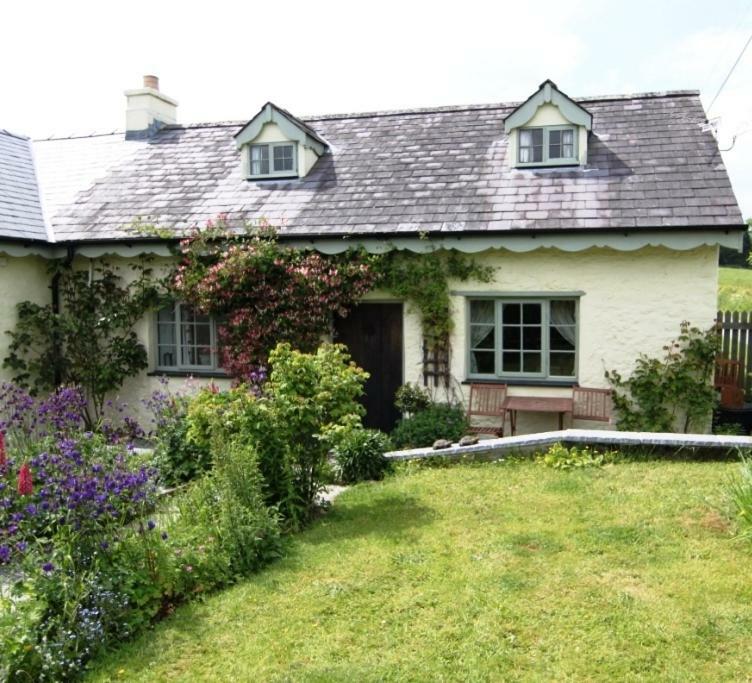 Parc Y Brenin Villa Dryslwyn Buitenkant foto